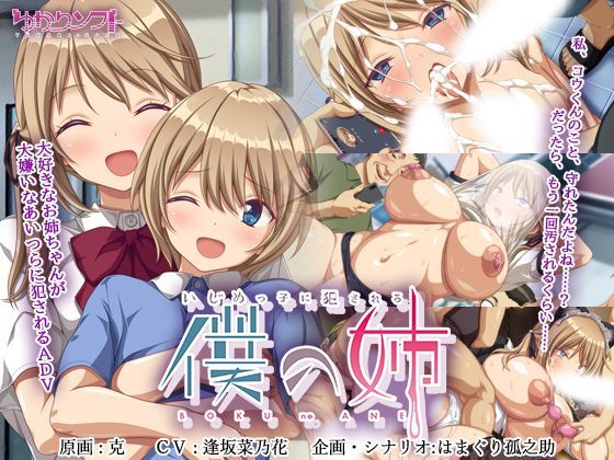 【d_378534】いじめっ子に犯●れる僕の姉【ゆかりソフト】