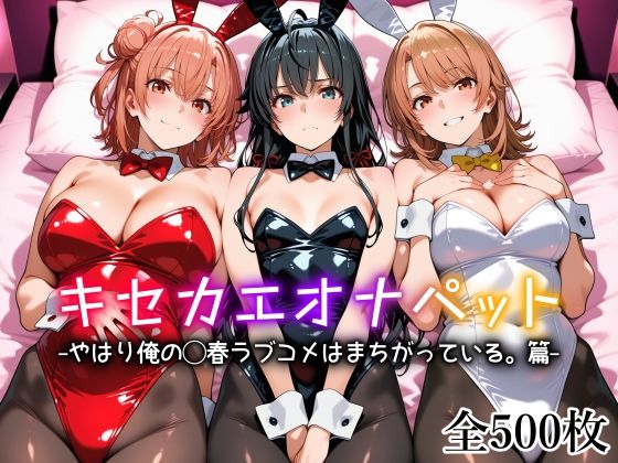 【d_754212】キセカエオナペット -やはり俺の◯春ラブコメはまちがっている篇-【愛玩ファクトリー】