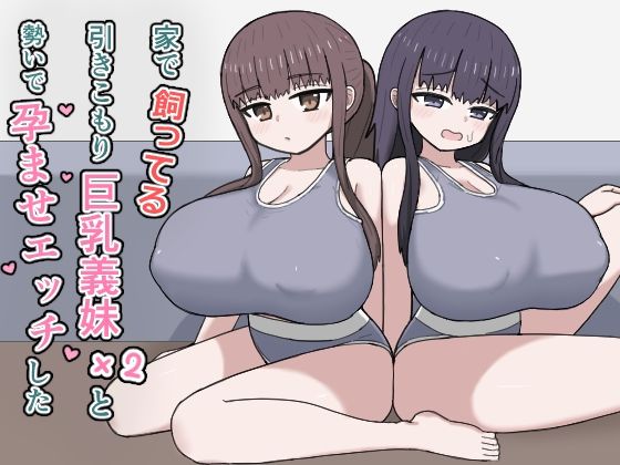 【d_764771】家で飼ってる引きこもり巨乳義妹×2と勢いで孕ませエッチした【にしかわ屋】