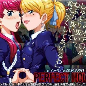 【d_042865】パーフェクトホールQ【Autobahn】