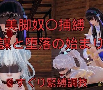 【d_762799】美脚奴〇捕縛 陰謀と堕落の始まり【美脚調教工房】