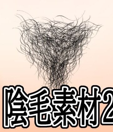 【d_788941】陰毛素材2【水の木】