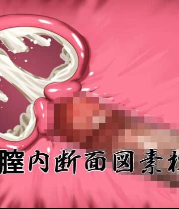 【d_795846】膣内断面図素材2【水の木】