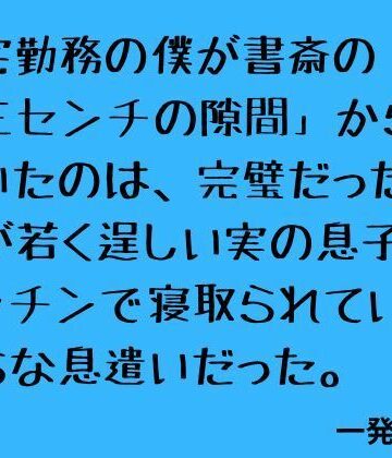 【d_796576】在宅勤務の僕が書斎の「三センチの隙間」から聞いたのは、完璧だった妻が若く逞しい実の息子にキッチンで寝取られていく淫らな息遣いだった。【一発書房】