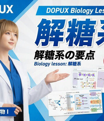 【d_797798】【▲20】一ノ瀬廻里 大学に進学し強豪予備校『DOPUX（ドピュックス』で生物I，IIを教える名物講師に！（Vol.021:解糖系）【Libido-Labo】