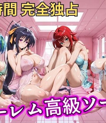 【d_798772】朝から晩までハーレム高級ソープ 【ハイスクールD×D】【ヒロインズ】