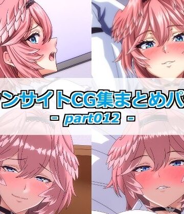 【d_806557】ファンサイトCG集まとめパックーpart012ー【Guild_Plus】