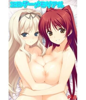 【d_812026】エロゲーメモリアル 08【おっぱいマン】