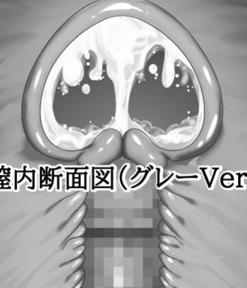【d_813604】膣内断面図素材（グレーVer.）【水の木】
