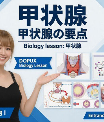 【d_822142】【▲20】パンチラガチャ★一ノ瀬廻里 大学に進学し強豪予備校『DOPUX（ドピュックス』で生物I，IIを教える名物講師に！（Vol.050:甲状腺）【Libido-Labo】