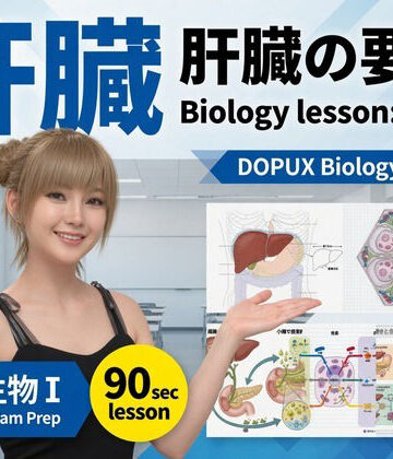 【d_824188】【▲20】パンチラガチャ★一ノ瀬廻里 大学に進学し強豪予備校『DOPUX（ドピュックス』で生物I，IIを教える名物講師に！（Vol.054:肝臓）【Libido-Labo】