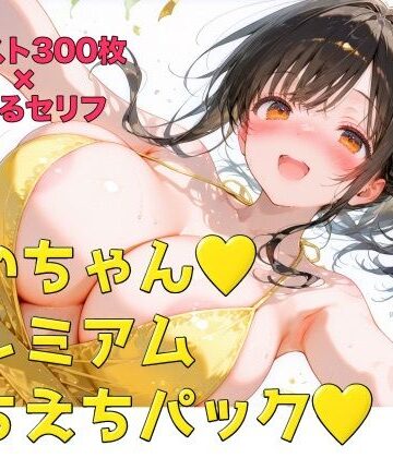 【d_825567】めいちゃんプレミアムえちえちパック【N工房】