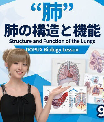【d_826009】【▲20】パンチラガチャ★一ノ瀬廻里 大学に進学し強豪予備校『DOPUX（ドピュックス』で生物I，IIを教える名物講師に！（Vol.056:肺）【Libido-Labo】