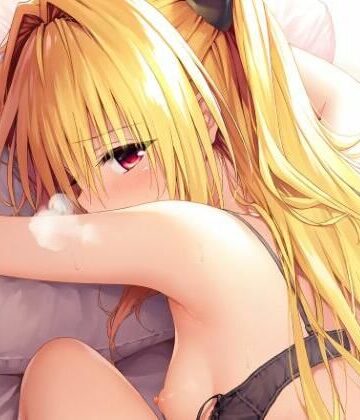 【d_827578】R18イラスト集（12枚） やみ【とらっぶる】