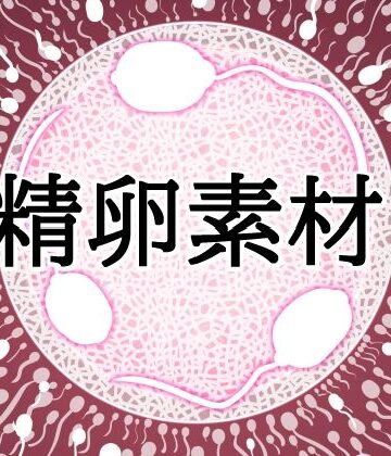 【d_832158】受精卵素材10【水の木】