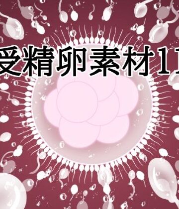 【d_833218】受精卵素材11【水の木】