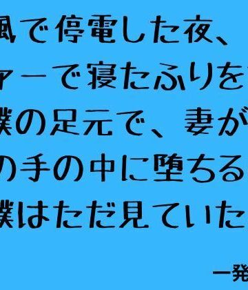 【d_838869】台風で停電した夜、ソファーで寝たふりをする僕の足元で、妻が息子の手の中に堕ちるのを僕はただ見ていた。【一発書房】